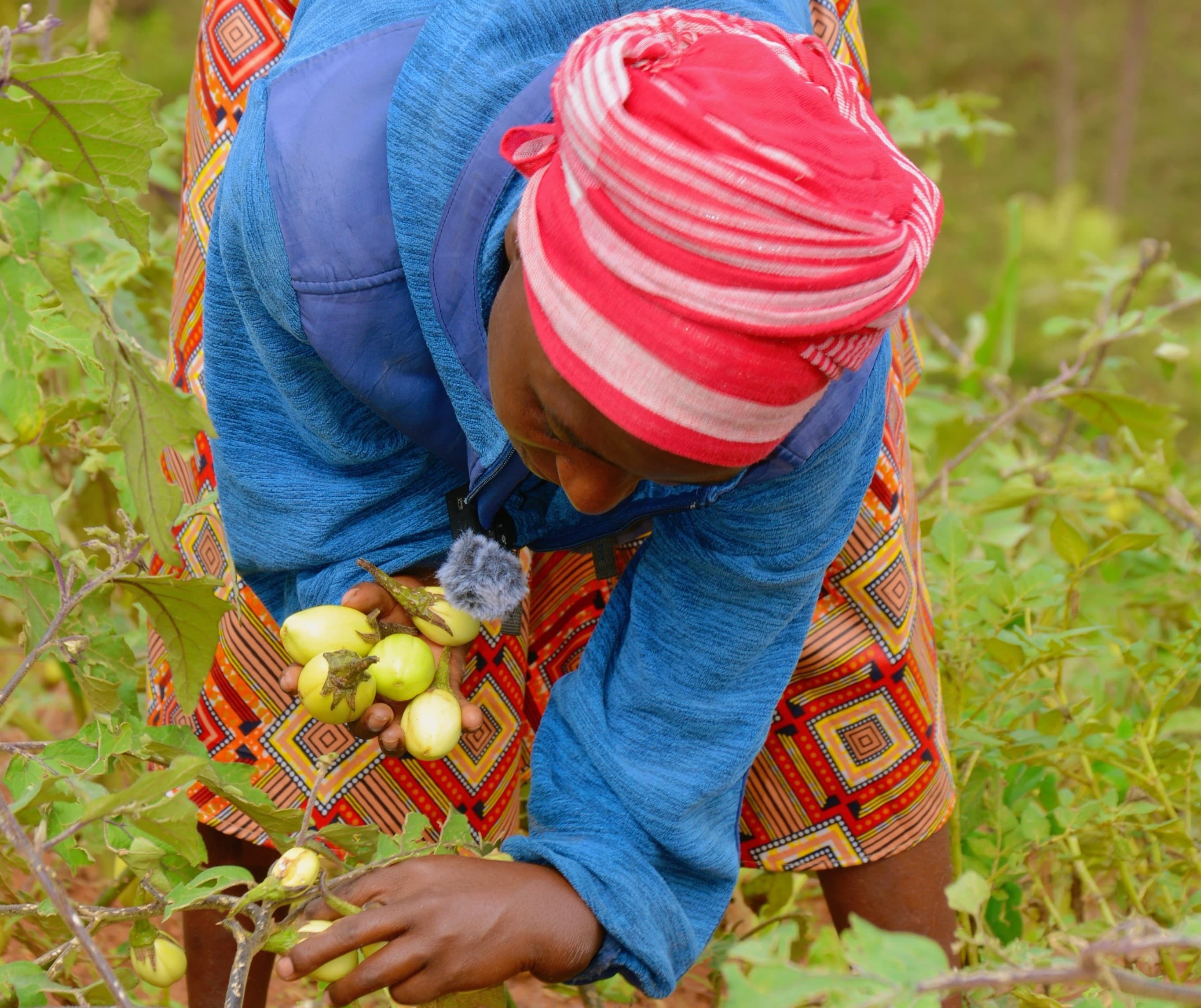 2025 Results: Economic empowerment for youth with disabilities (YEA‑R)